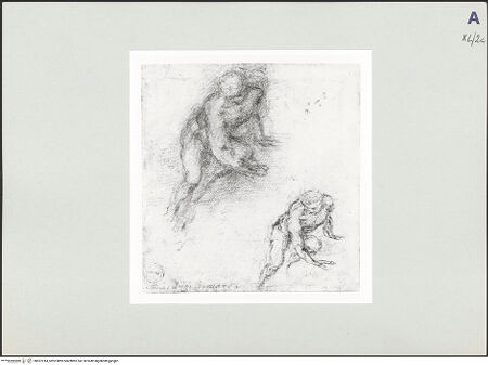 Vorderseite von bh527014_recto