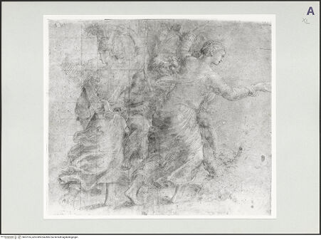 Vorderseite von bh527016_recto