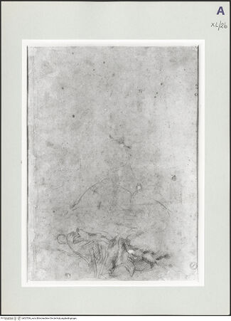 Vorderseite von bh527036_recto