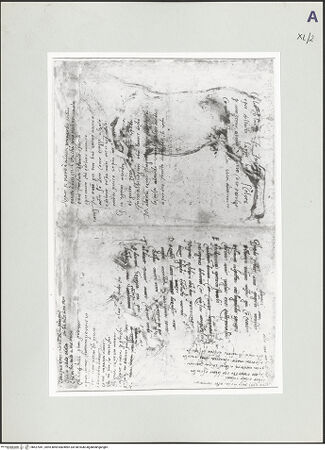 Vorderseite von bh527041_recto