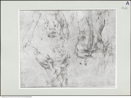 Vorderseite von bh527042_recto