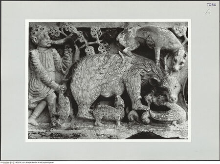 Vorderseite von bh527181_recto