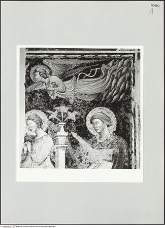 Vorderseite von bh527208_recto