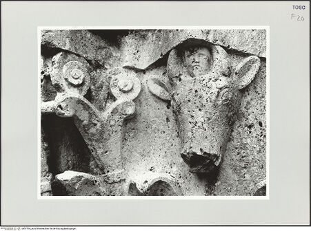 Vorderseite von bh527534_recto