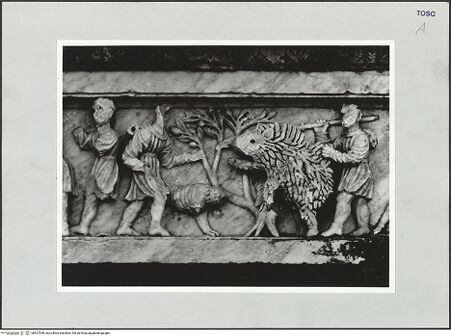 Vorderseite von bh527558_recto