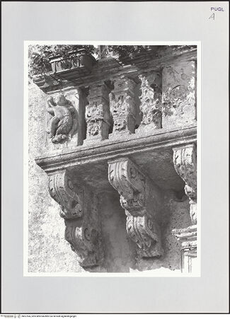 Vorderseite von bh527566_recto