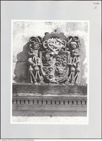 Vorderseite von bh527568_recto