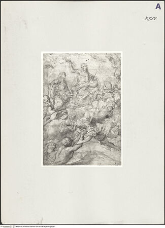 Vorderseite von bh527655_recto