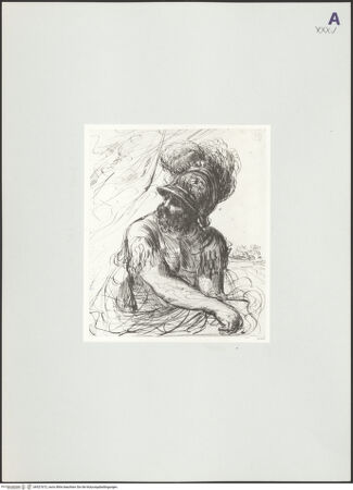 Vorderseite von bh527672_recto