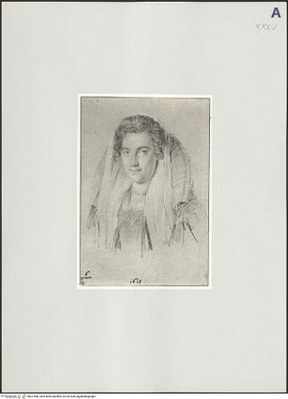 Vorderseite von bh527688_recto