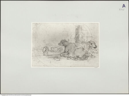 Vorderseite von bh527690_recto