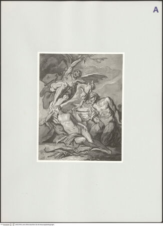 Vorderseite von bh527694_recto