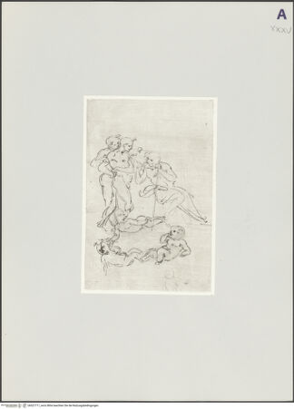 Vorderseite von bh527717_recto