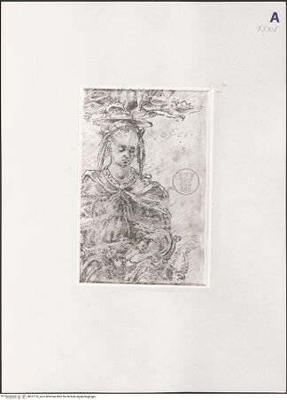 Vorderseite von bh527719_recto