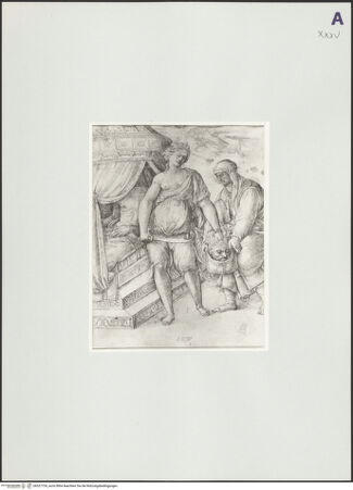 Vorderseite von bh527724_recto