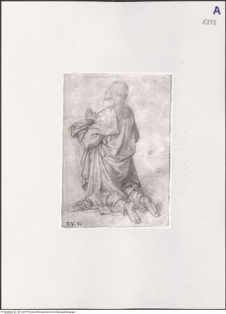 Vorderseite von bh527738_recto