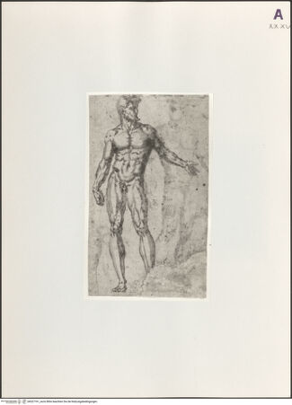 Vorderseite von Hamburger Kunsthalle [https://www.deutsche-digitale-bibliothek.de/content/lizenzen/rv-ez/] Stehender männlicher Akt - , bh527741_recto. Foto.