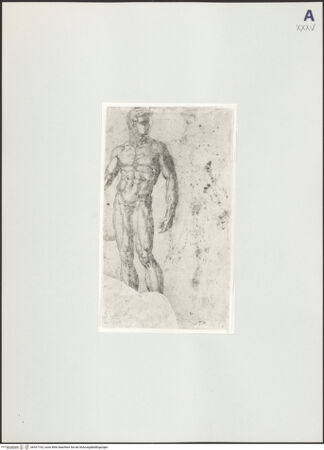 Vorderseite von Hamburger Kunsthalle [https://www.deutsche-digitale-bibliothek.de/content/lizenzen/rv-ez/] Stehender männlicher Akt - , bh527742_recto. Foto.