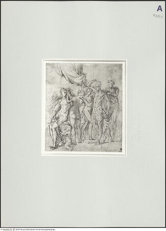 Vorderseite von bh527750_recto