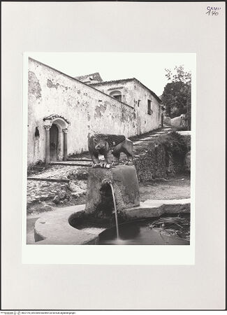 Vorderseite von Bibliotheca Hertziana [https://www.deutsche-digitale-bibliothek.de/content/lizenzen/rv-fz/] Fontana moresca - Das Evangelistensymbol des Lukas, bh527795_recto. Foto: Schwarz, Heinrich Mathias.