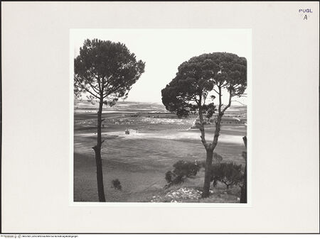 Vorderseite von bh527801_recto