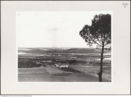 Vorderseite von bh527802_recto