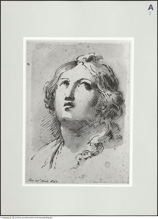 Vorderseite von bh527823_recto