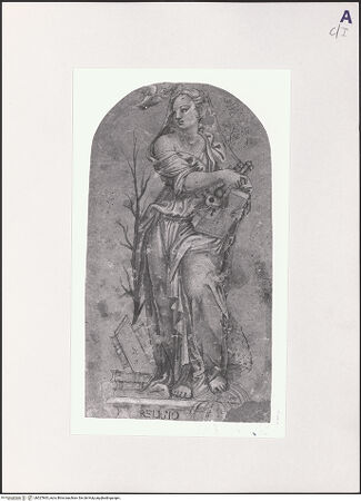 Vorderseite von bh527865_recto