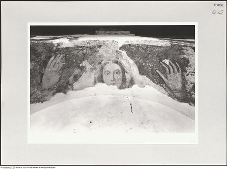 Vorderseite von bh528040_recto