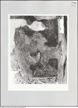 Vorderseite von bh528041_recto