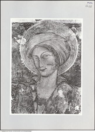 Vorderseite von bh528047_recto