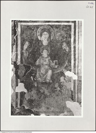 Vorderseite von bh528049_recto