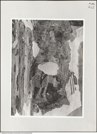 Vorderseite von bh528054_recto