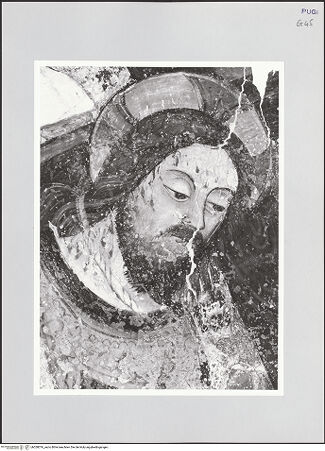 Vorderseite von bh528076_recto