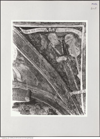 Vorderseite von bh528084_recto