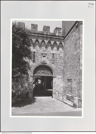 Vorderseite von bh528218_recto