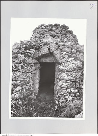 Vorderseite von bh528254_recto