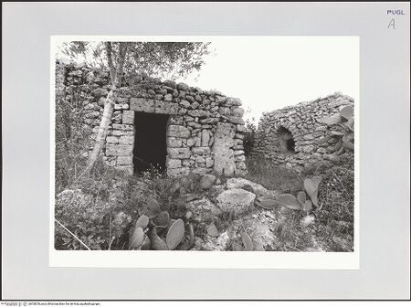 Vorderseite von bh528256_recto