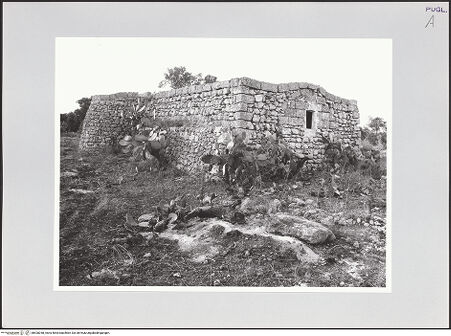 Vorderseite von bh528258_recto