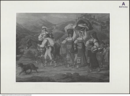 Vorderseite von bh528364_recto