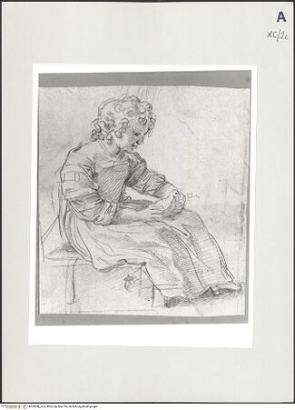 Vorderseite von bh528398_recto