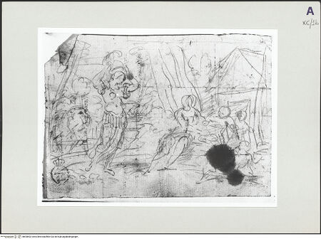 Vorderseite von bh528402_recto