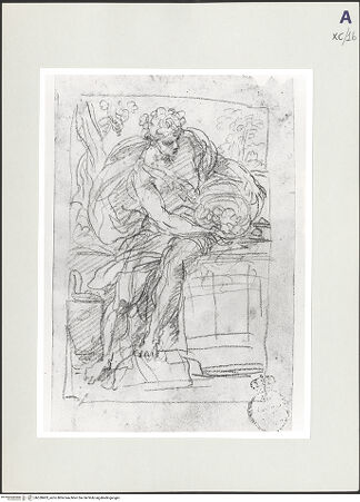 Vorderseite von bh528403_recto