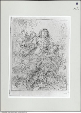 Vorderseite von bh528407_recto