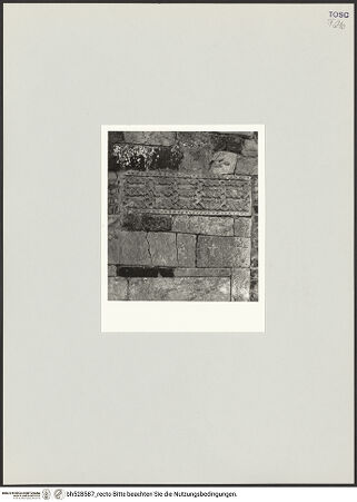 Vorderseite von bh528587_recto