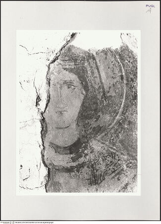 Vorderseite von bh528650_recto