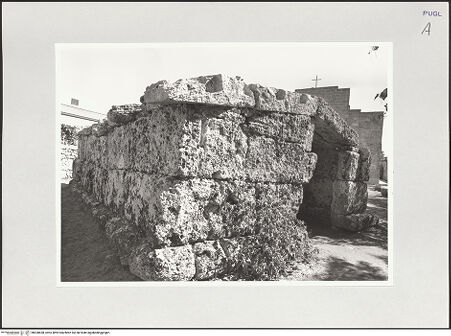 Vorderseite von bh528658_recto