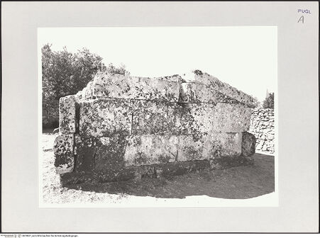 Vorderseite von bh528661_recto