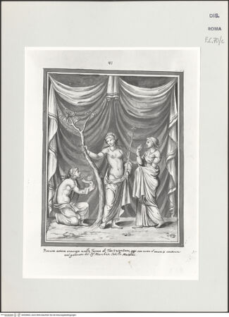 Vorderseite von bh528662_recto