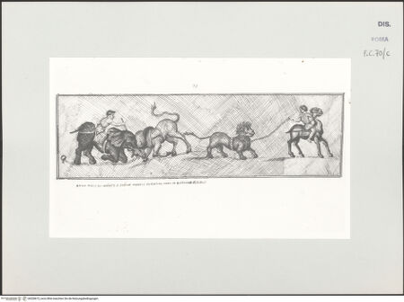 Vorderseite von bh528673_recto